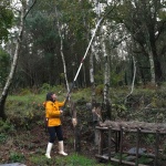 Silky Hayauchi 4900-6.5