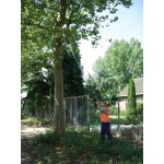 Silky Hayauchi 4900-6.5