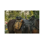 Silky Pocketboy Curve 170-8