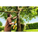 Riwall PRO RAPS 2040